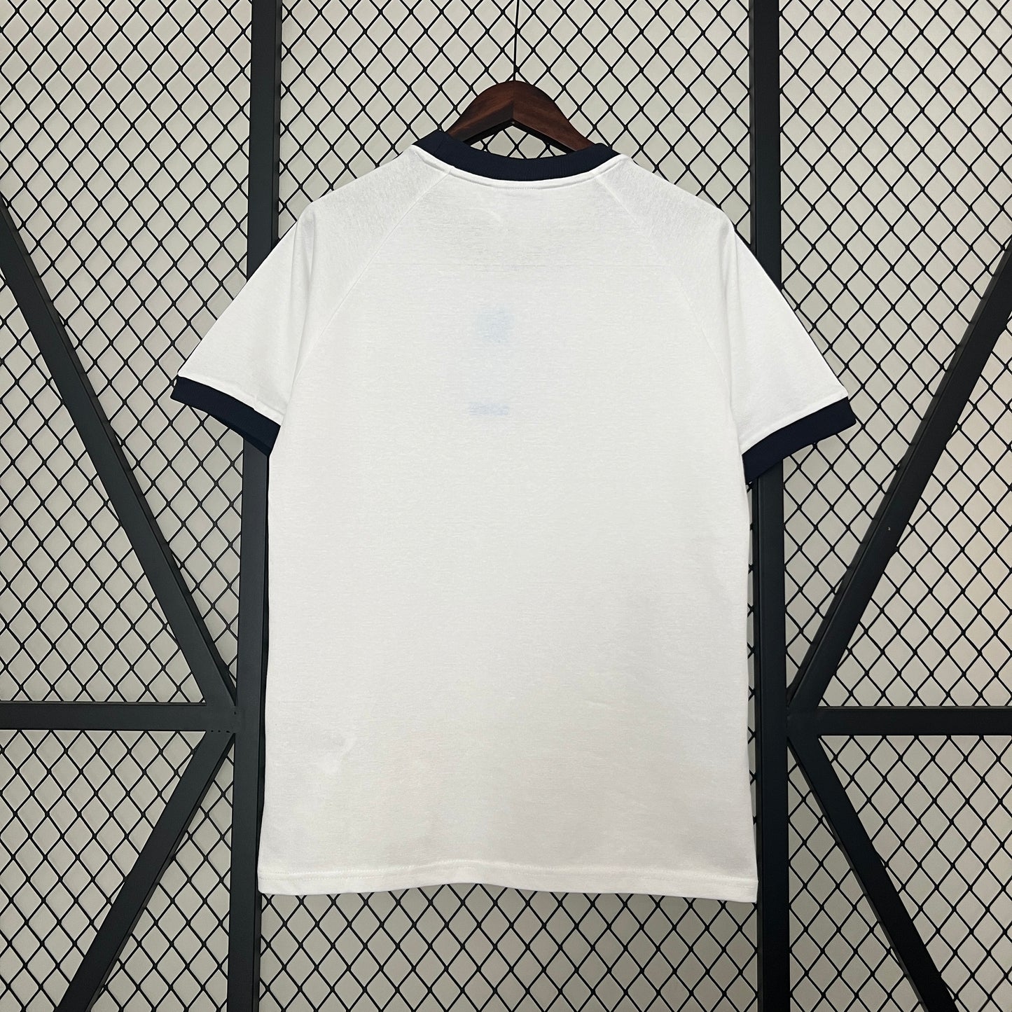 Camiseta Alemania ( Special Edition )