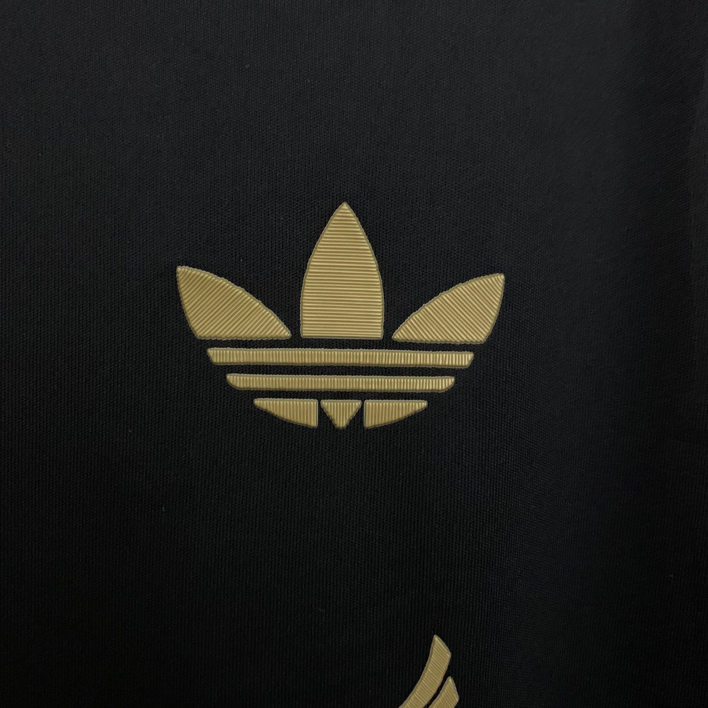 Camiseta Mexico (Special edition)